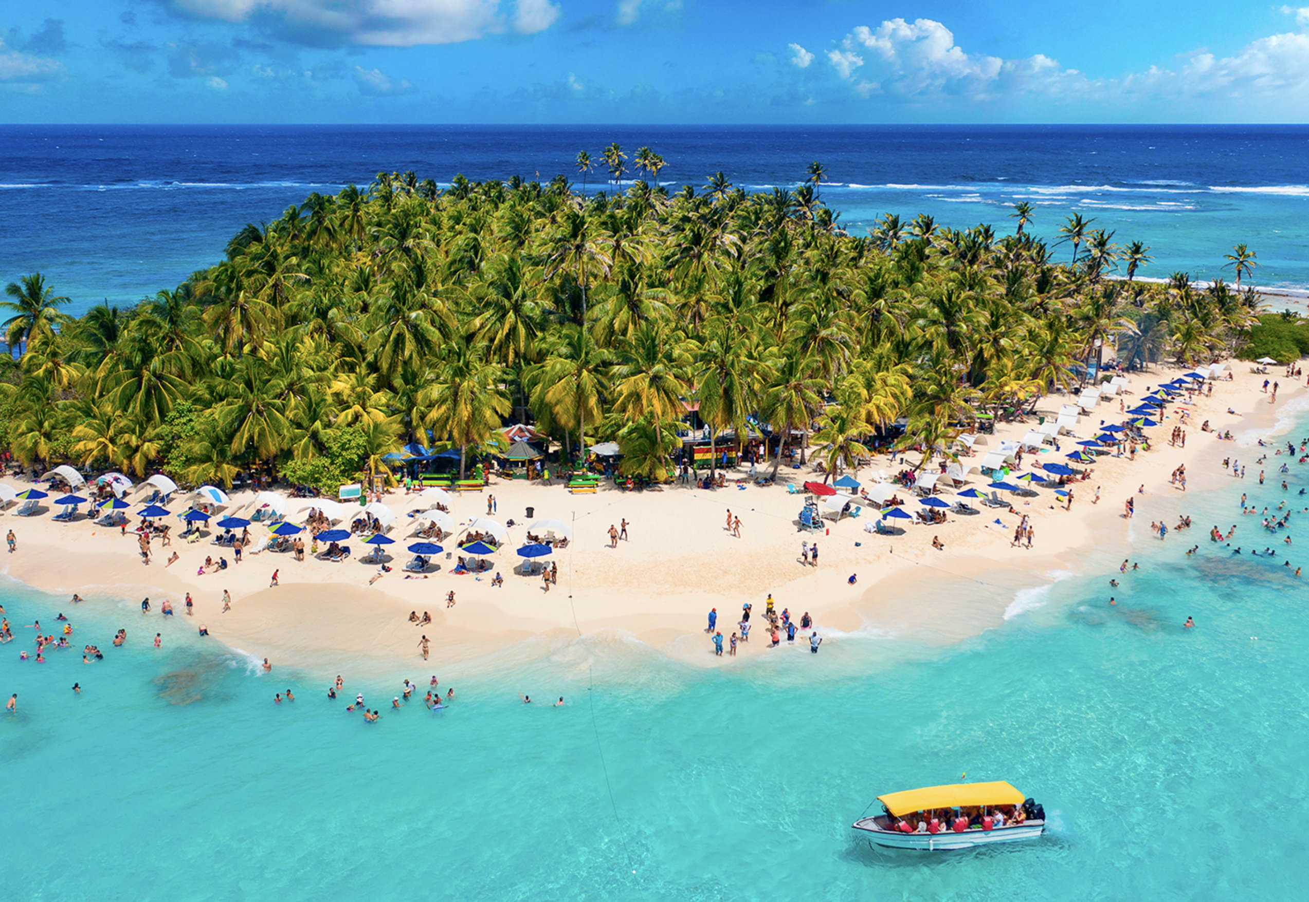 screen shot 2025 11 21 at 3.44.23 pm